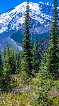 Szczyt Mount Rainier