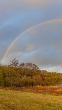 Tęcza nad jesiennymi drzewami