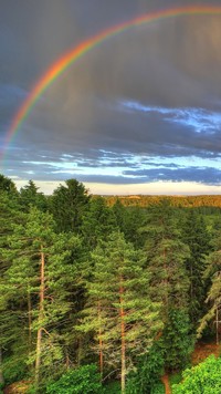 Tęcza nad lasami