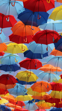 Tęczowy taniec parasolek