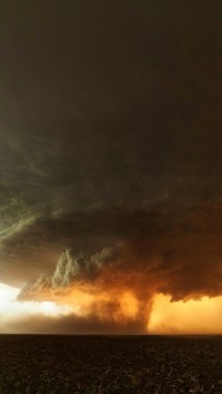 Tornado