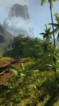 Tory kolejowe w tropikach