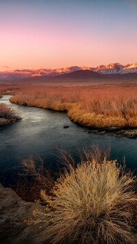 Trawy wzdłuż rzeki Owens River