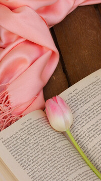Tulipan otwartej książce