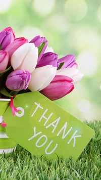 Tulipanowe podziękowanie