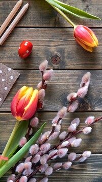 Tulipany i bazie na deskach