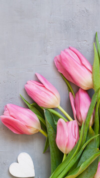 Tulipany i białe serduszko