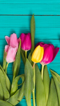 Tulipany na deskach