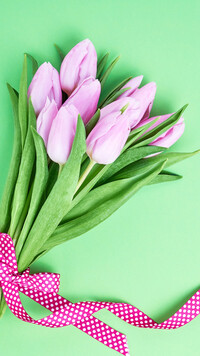 Tulipany na zielonym tle