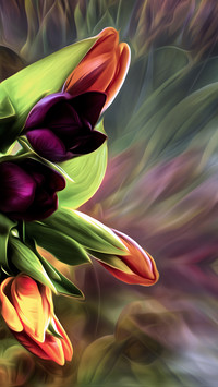 Tulipany w grafice