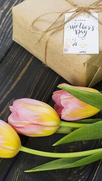 Tulipany z prezetem na Dzień Matki