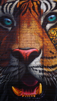 Tygrys w graffiti
