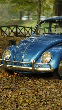 Volkswagen Beetle przodem