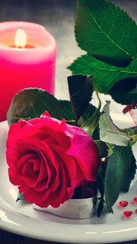 Walentynkowa kompozycja z różą i świecą