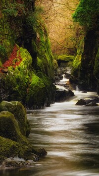 Wąwóz Fairy Glen