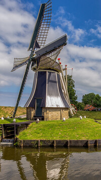 Wiatrak w Enkhuizen