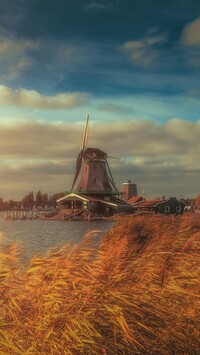 Wiatrak w skansenie Zaanse Schans