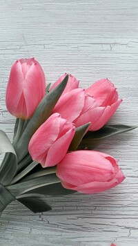 Wiązanka różowych tulipanów