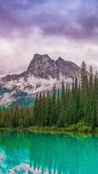 Widok na góry znad jeziora Emerald Lake