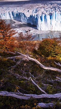 Widok na lodowiec Perito Moreno