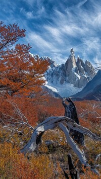 Widok na ośnieżony szczyt Fitz Roy