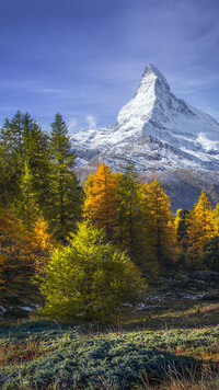 Widok na ośnieżony szczyt Matterhorn