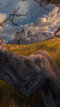 Widok na szczyt Fitz Roy w Patagonii