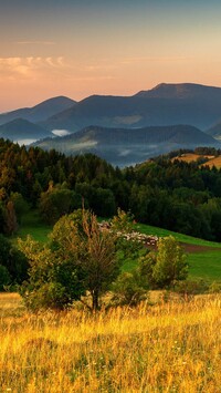 Widok z łąki na góry