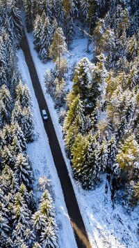 Widok z lotu ptaka na drogę i las