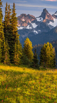 Widok ze słonecznej łąki na góry Mount Rainier