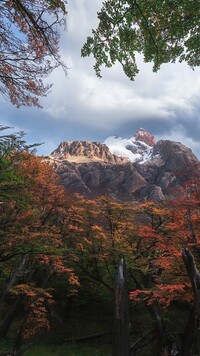 Widok zza jesiennych drzew na górę Fitz Roy