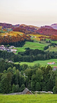 Wieś i drzewa na wzgórzach w szwajcarskiej gminie Stein
