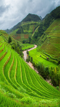 Wietnamskie tarasy ryżowe