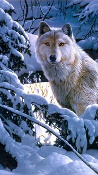 Wilk w zimowym ośnieżonym lesie