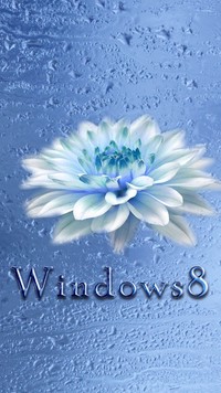 Windows 8