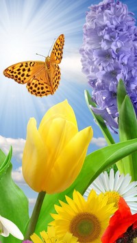 Wiosenna grafika z kwiatami i motylem