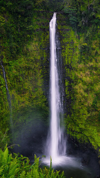 Wodospad Akaka Falls na Hawajach