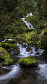 Wodospad Bunch Falls