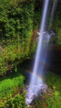Wodospad Cave Garden Waterfall w Australii