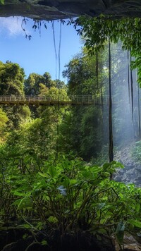 Wodospad Crystal Fall w Parku Narodowym Dorrigo