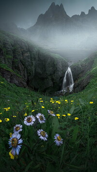 Wodospad i kwiaty na łące