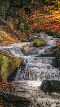 Wodospad Lumsdale Waterfall w Anglii