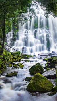 Wodospad Nelson Falls w Tasmanii