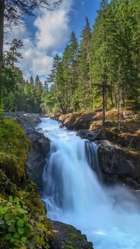 Wodospad Silver Falls