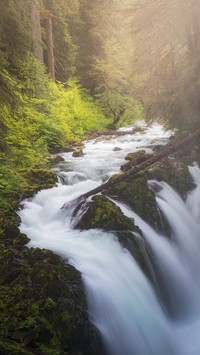 Wodospad Sol Duc Falls