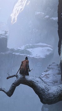 Wojownik Sekiro stoi na konarze drzewa