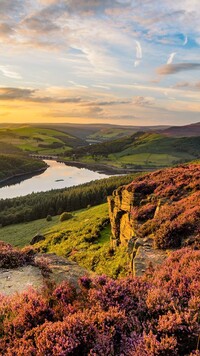 Wrzosowisko na wzgórzu w Parku Narodowym Peak District