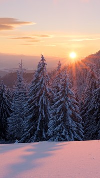 Wschód słońca nad Gorganami