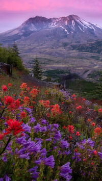 Wulkan Mount St. Helens