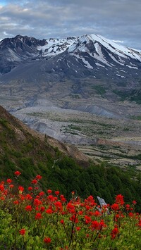 Wulkan Mount St Helens